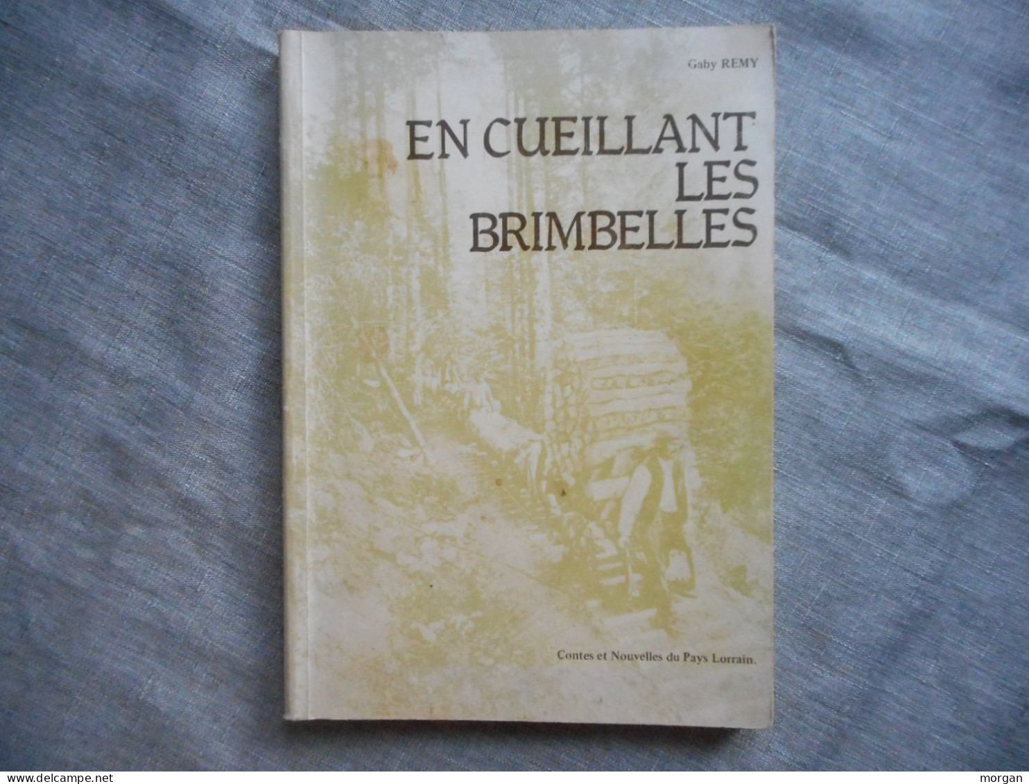 LORRAINE - EN CUEILLANT LES BRIMBELLES, 1977 GABY REMY CONTES ET NOUVELLES DU PAYS LORRAIN - Lorraine - Vosges