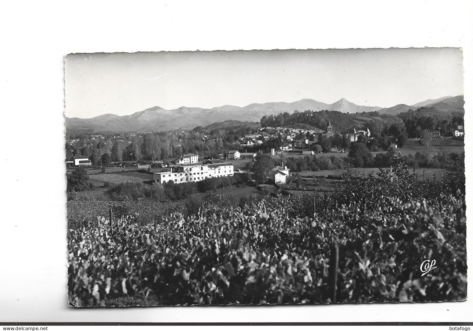 CPA PHOTO DPT 64 ST JEAN PIED DE PORT En 1957! Au Premier Plan  UHART CIZE - Saint Jean Pied De Port