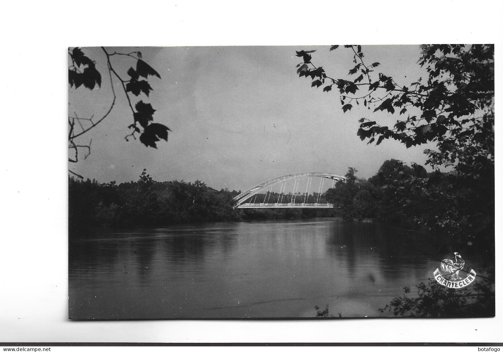 CPA PHOTO DPT 40  PEYREHORADE,LE PONT SUSPENDU - Peyrehorade