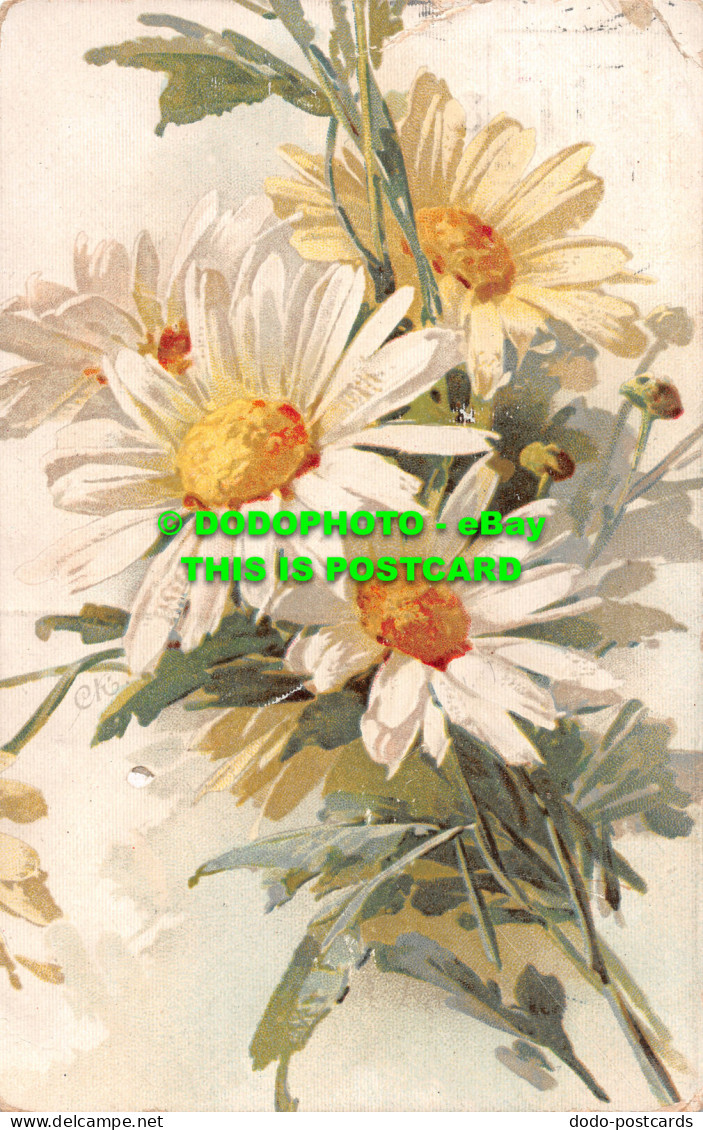 R516742 White Flowers. Postcard - Monde