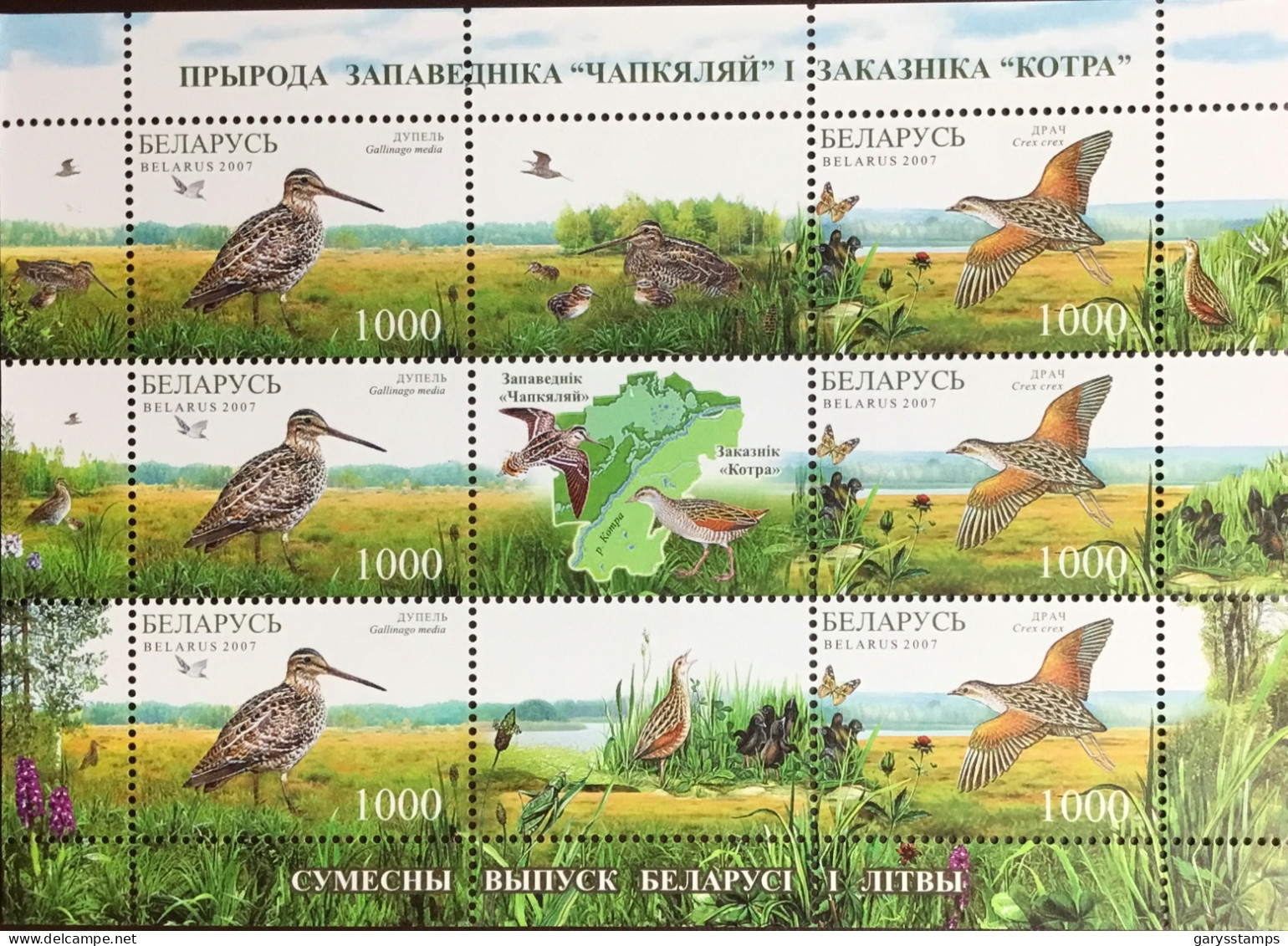 Belarus 2007 Nature Reserve Birds Sheetlet MNH - Andere & Zonder Classificatie