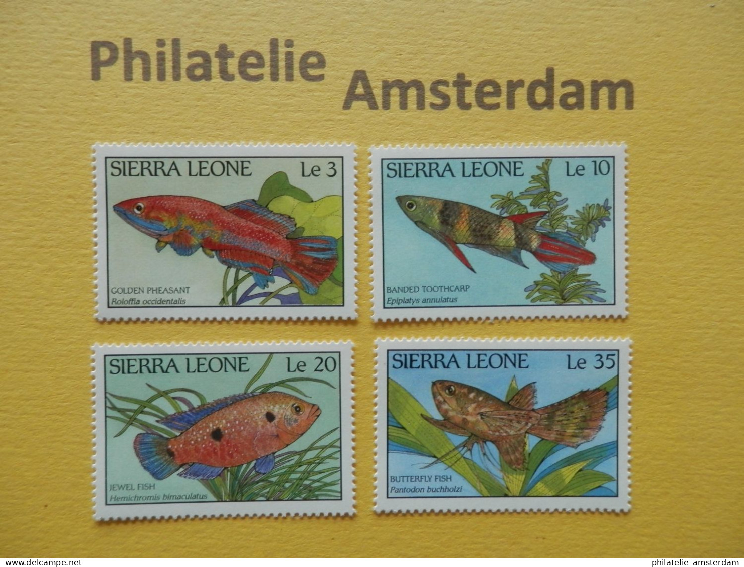 Sierra Leone 1988, FAUNA FISH FISCHE VISSEN POISSONS PECES PESCI: Mi 1081-84, ** - Pesci