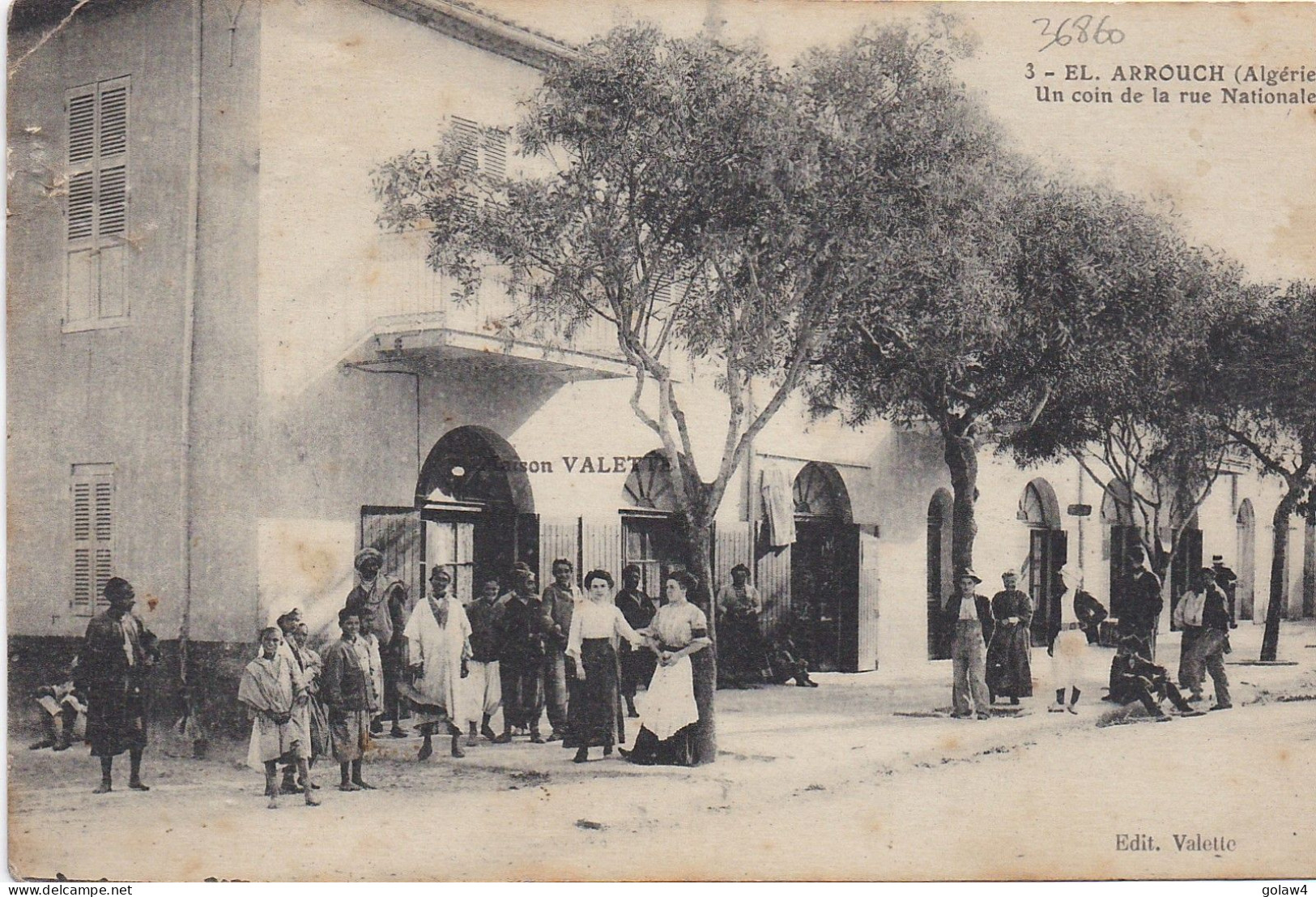 36860# EL ARROUCH ALGERIE UN COIN DE LA RUE NATIONALE Datée De ROBERTVILLE 1916 - Autres & Non Classés