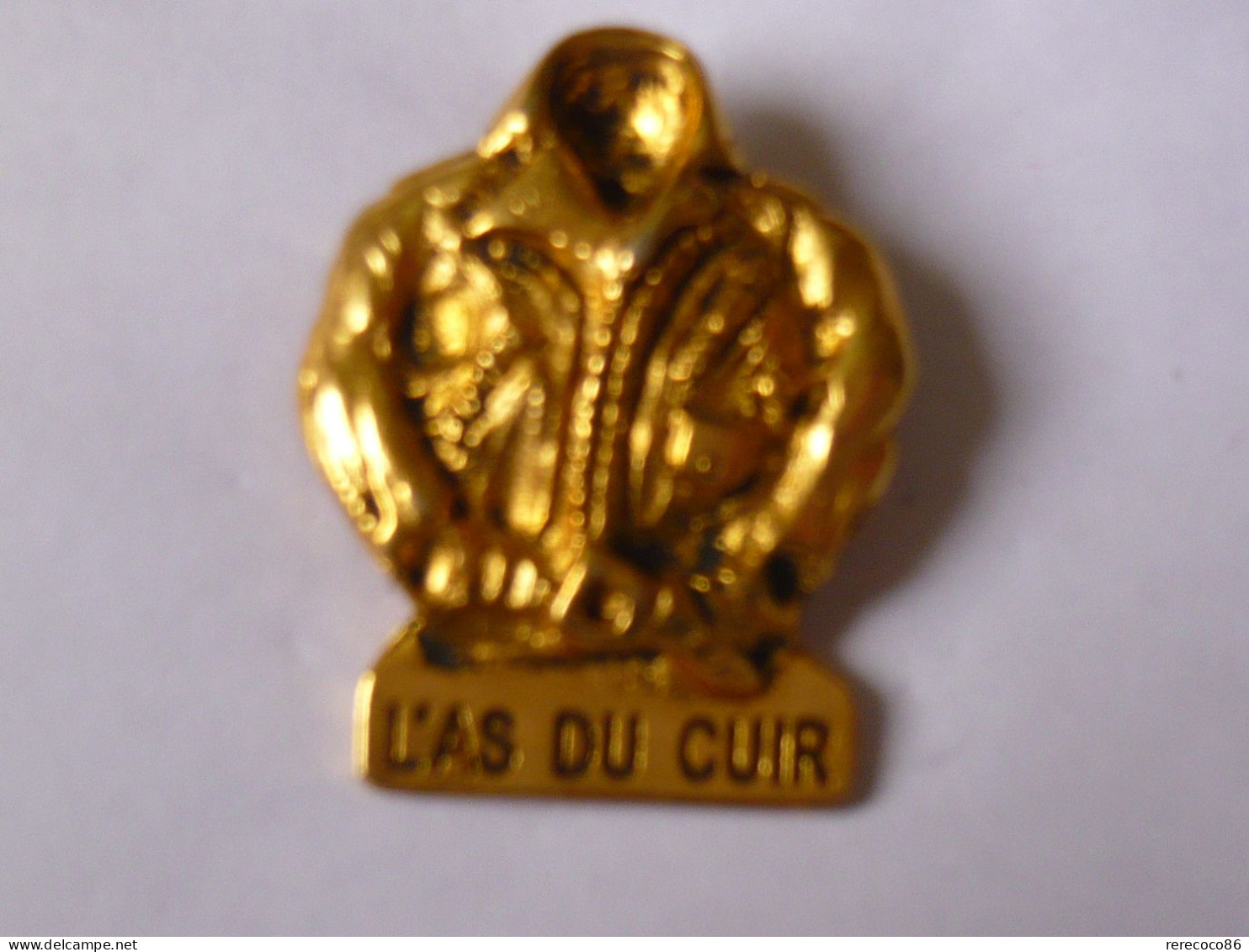 BIG Pins RELIEF L AS DU CUIR A SAINT MAUR DES FOSSES 94 - Dieren