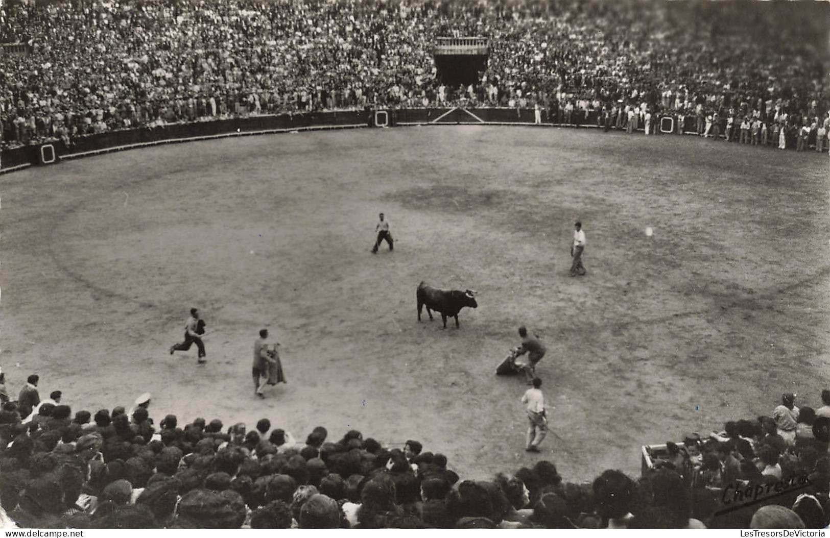 CORRIDA - Un Taureau égaré Dans L'arène - Animé - Carte Postale - Stierkampf