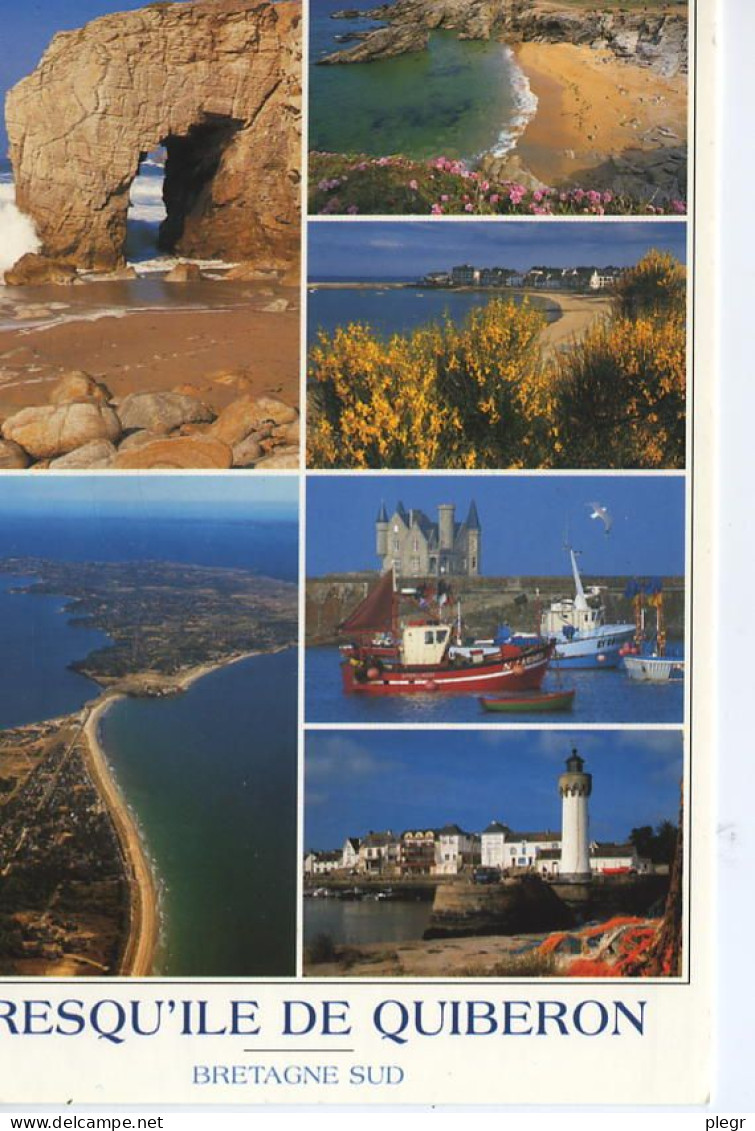 0-56186 02+14 - QUIBERON - LOT DE 5 CARTES - Quiberon