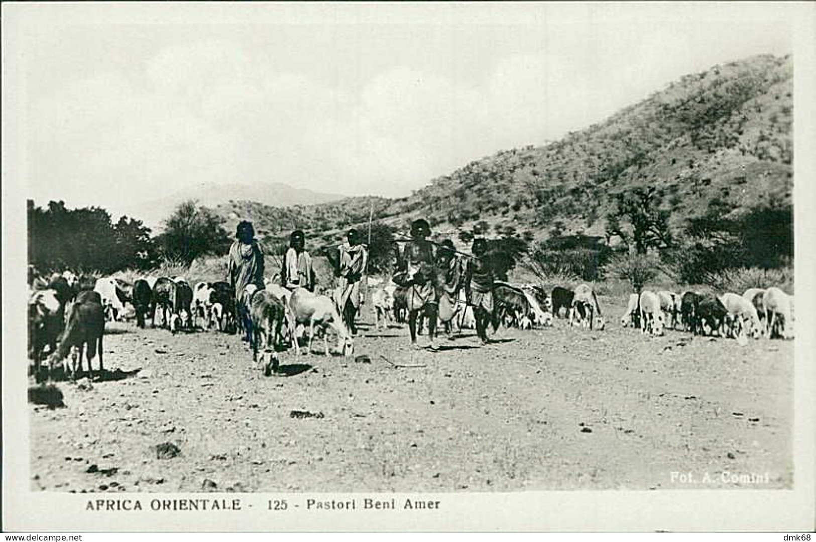 ERITREA - PASTORI BENI AMER / SHEPHERDS BENI AMER - PHOTO COMINI - 1930s (12526) - Erythrée