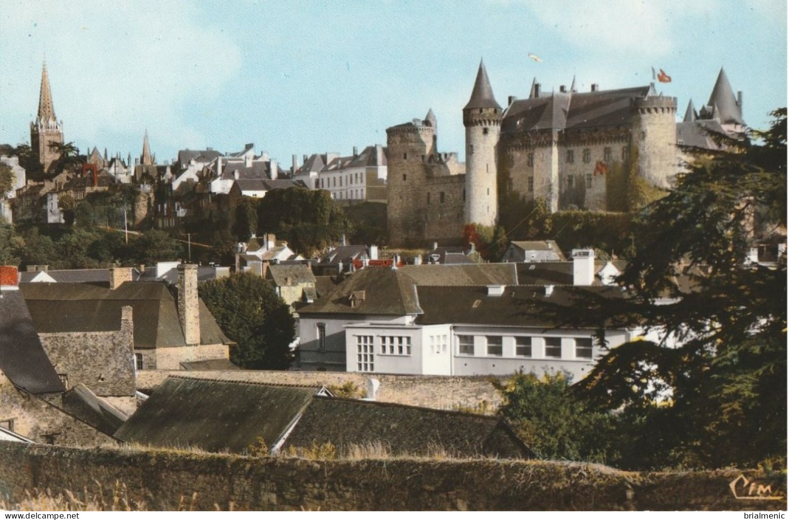 VITRE  L'hôpital Et Le Château - Vitre