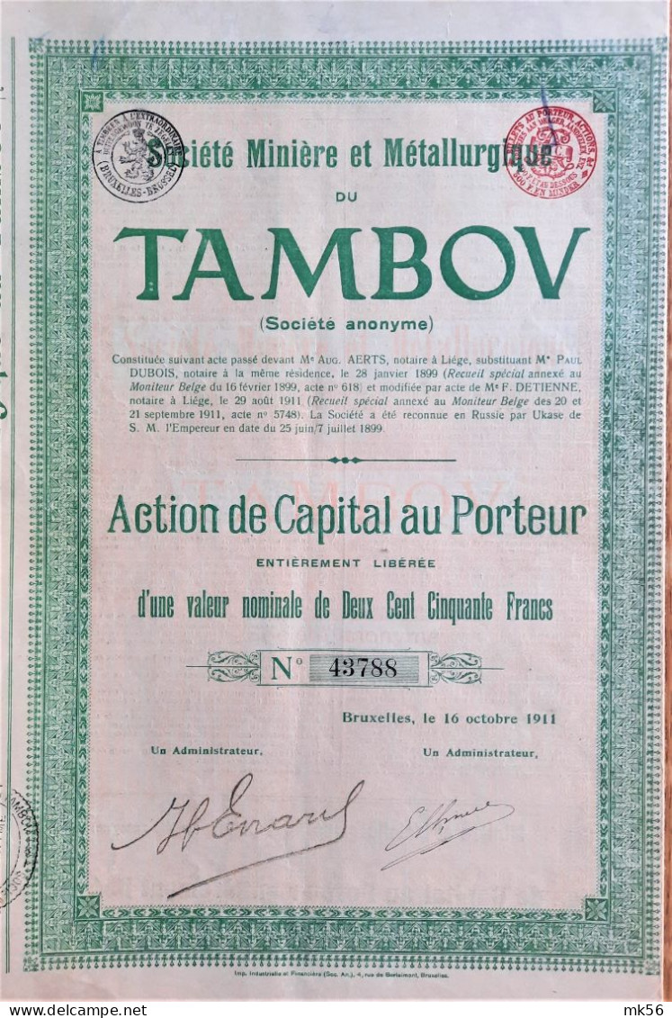 Société Minière Et Métallurgique De Tambov (1911) - Action De Capital Au Porteur - Miniere