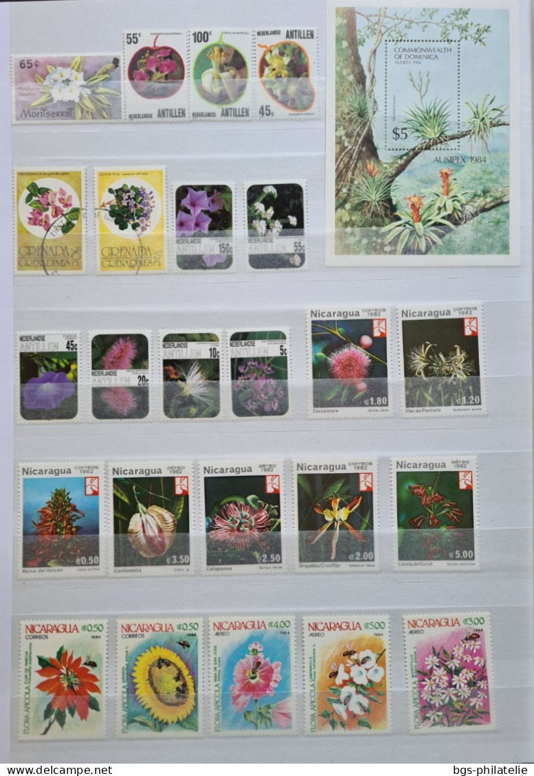 Collection De Timbres Sur Le Thème Des Fleurs. - Verzamelingen (zonder Album)