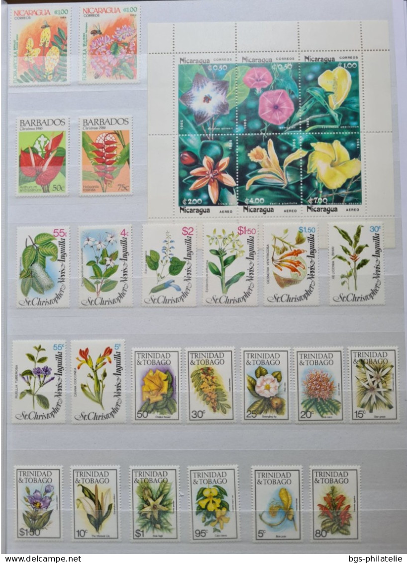 Collection De Timbres Sur Le Thème Des Fleurs. - Collections (without Album)