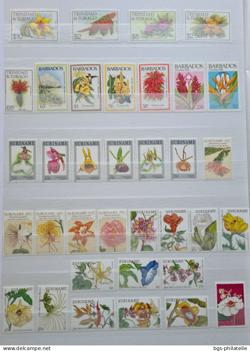 Collection De Timbres Sur Le Thème Des Fleurs. - Collections (without Album)