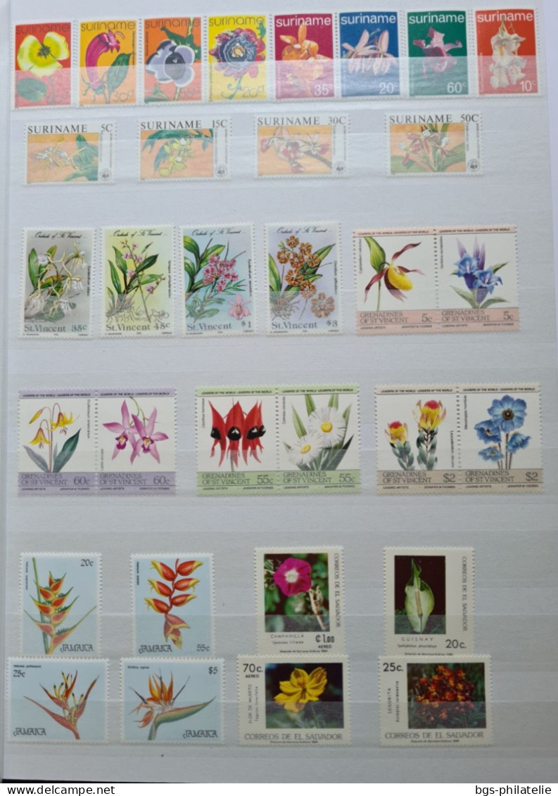 Collection De Timbres Sur Le Thème Des Fleurs. - Collections (without Album)