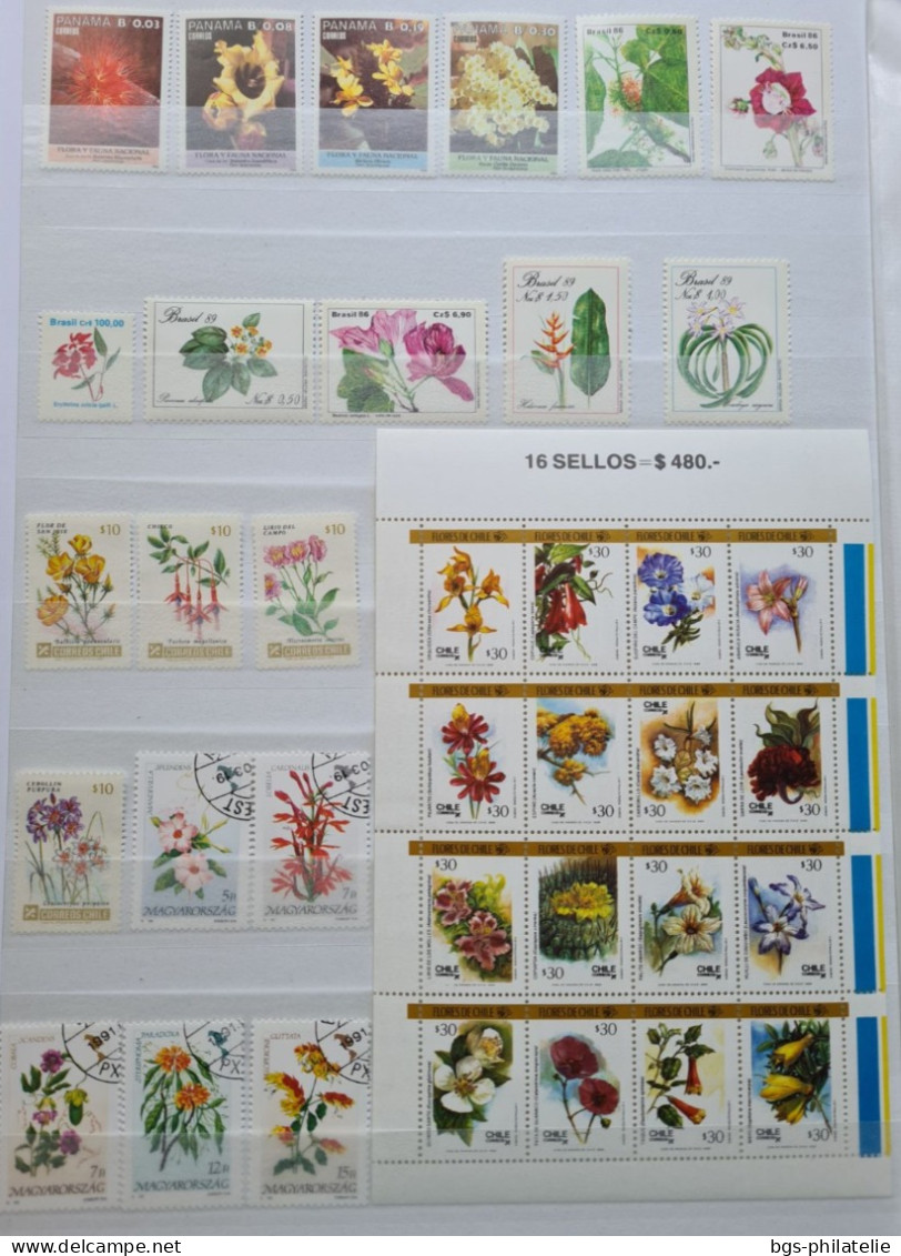 Collection de timbres sur le thème des Fleurs.