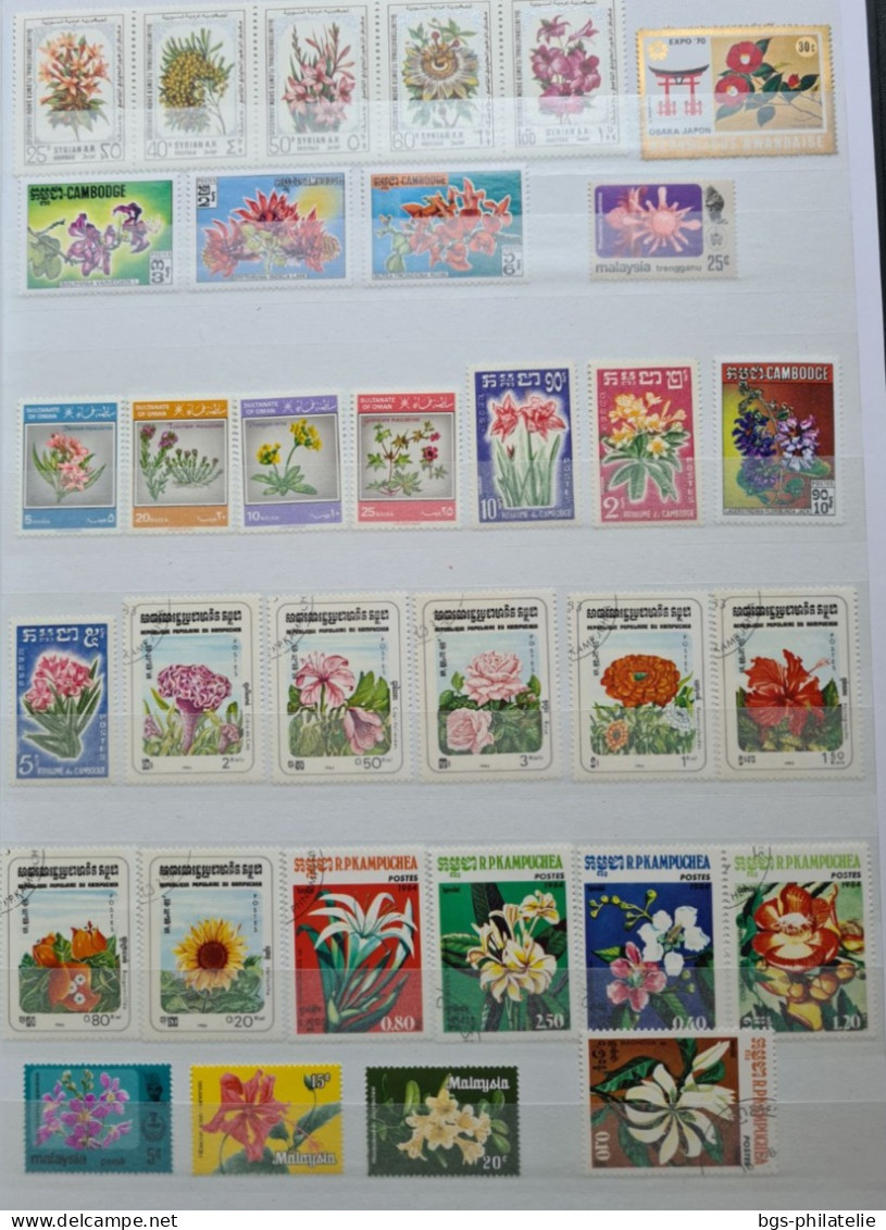 Collection de timbres sur le thème des Fleurs.