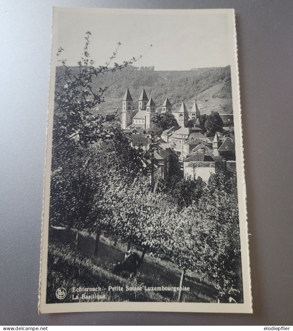 Echternach. Petite Suisse Luxembourgeoise. La Basilique - Echternach