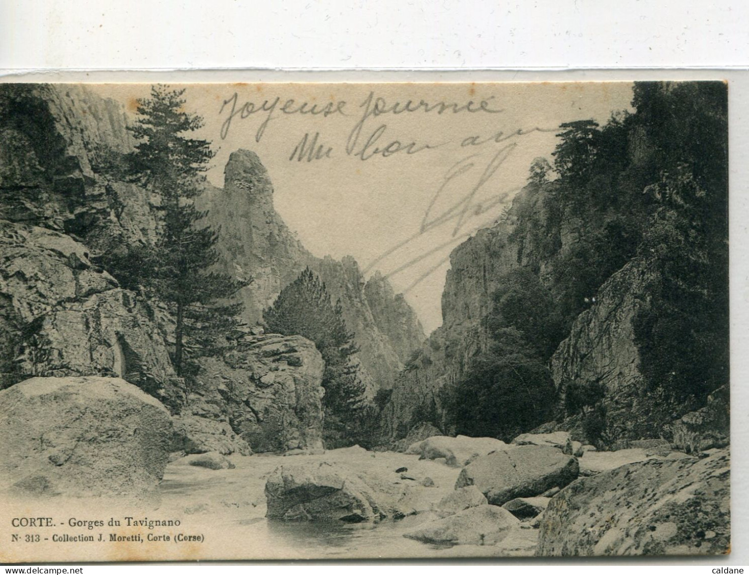 -2B - CORSE- CORTE- Gorges Du Tavignano.     Collection. J.Moretti,Corté. N°:313 - Corte