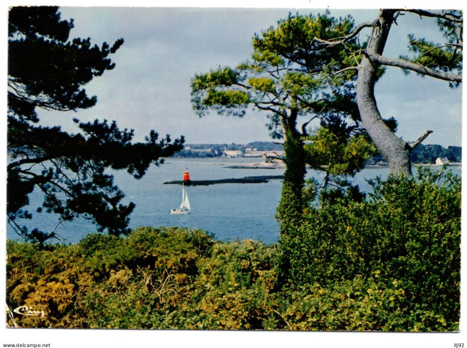 CPSM GF 56 - ILE AUX MOINES (Morbihan) - Pointe Du Trech - Vue Sur La Pointe D'Arradon - Ile Aux Moines