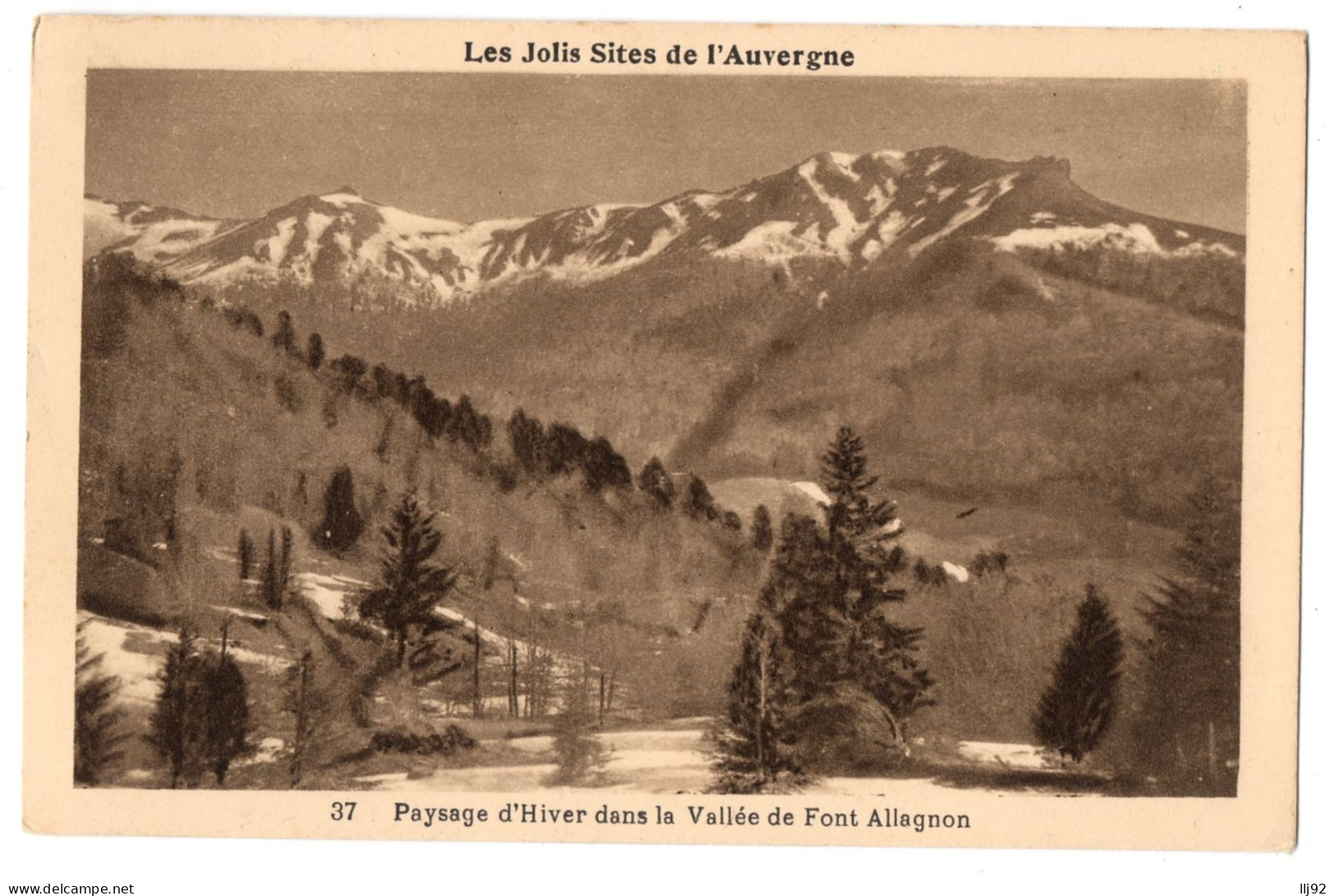 CPA 15  (Cantal) - 37. Paysage D'Hiver Dans La Vallée De Font Allagnon - Les Jolis Site D'Auvergne - Other & Unclassified