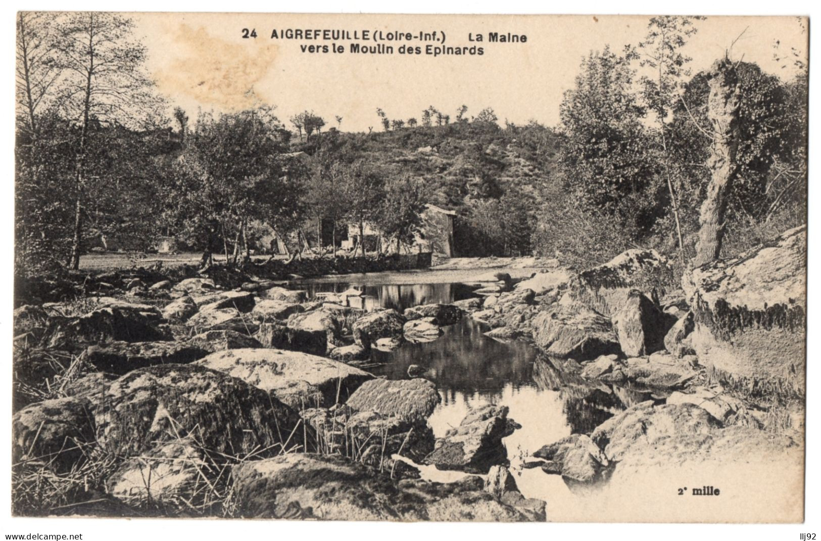 CPA 44 - AIGREFEUILLE (Loire Atlantique) - 24. La Maine Vers Le Moulin Des Epinards - Aigrefeuille-sur-Maine