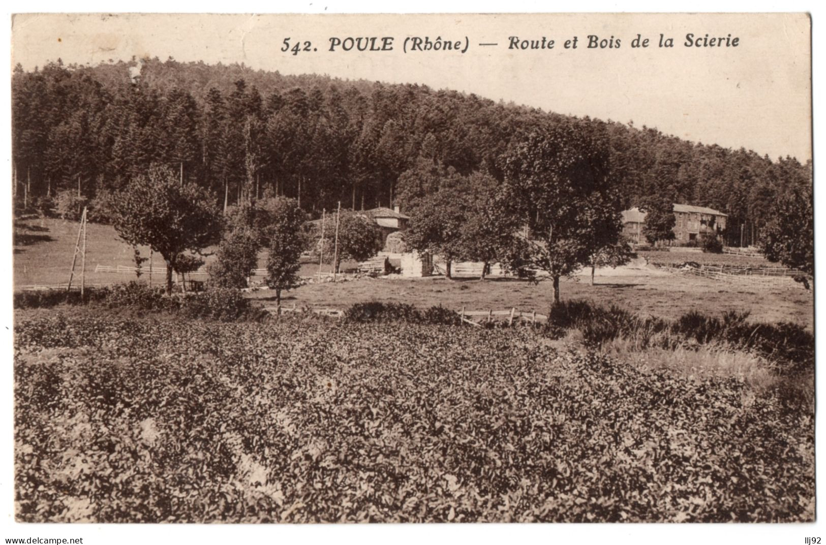 CPA 69 -POULE (Rhone) - 542. Route Et Bois De La Scierie - Other & Unclassified