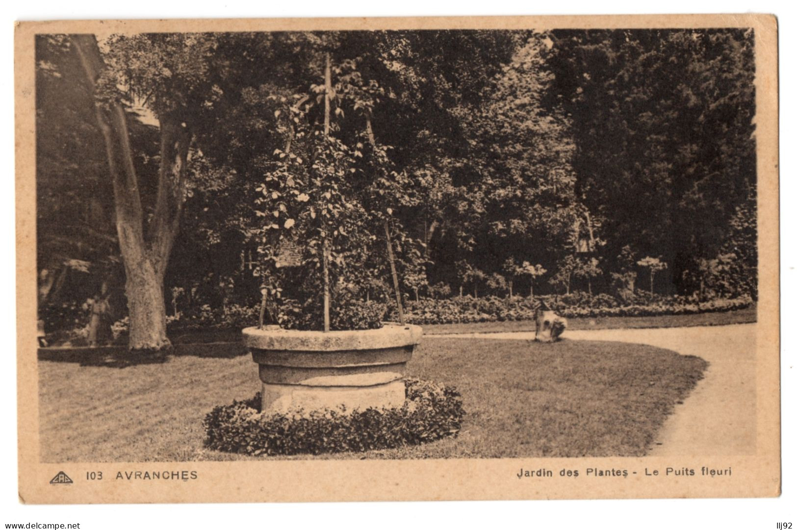 CPA 50 - AVRANCHES (Manche) - 103. Jardin Des Plantes. Le Puits Fleuri - Avranches