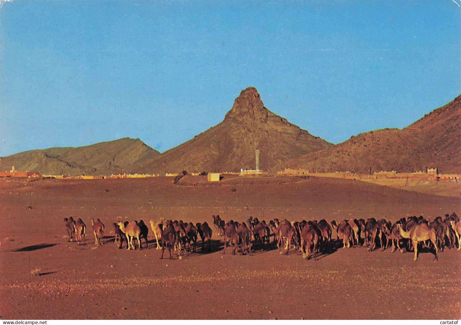 ZAGORA . Caravane Au Couchant .  MAROC - Autres & Non Classés