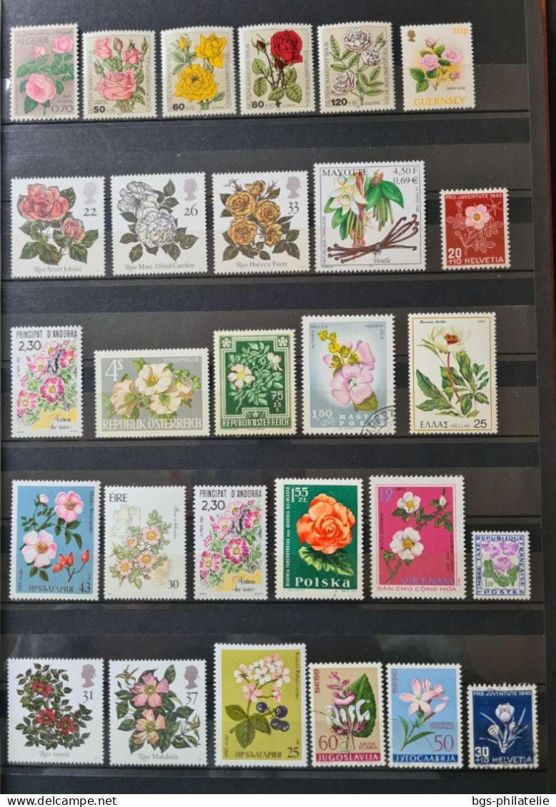 Collection De Timbres Sur Le Thème Des Fleurs. - Collections (sans Albums)