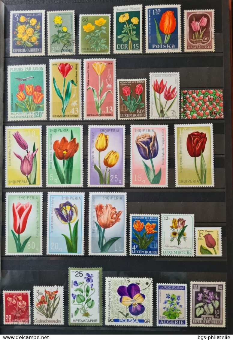 Collection De Timbres Sur Le Thème Des Fleurs. - Collections (without Album)