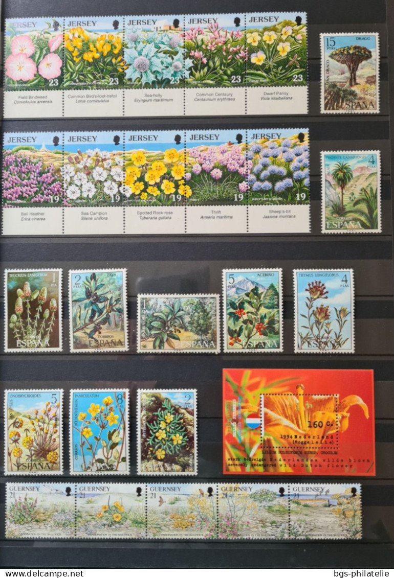 Collection de timbres sur le thème des Fleurs.