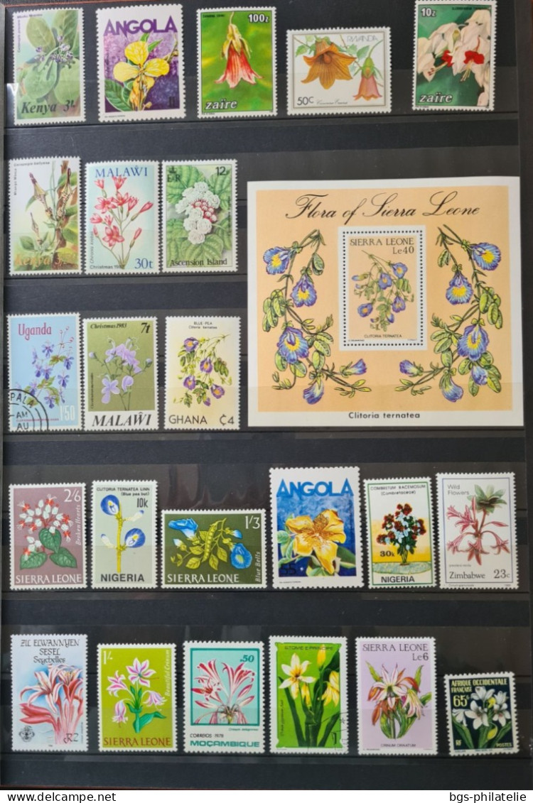 Collection de timbres sur le thème des Fleurs.