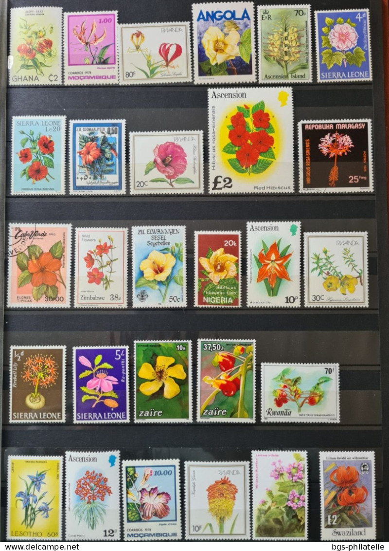 Collection de timbres sur le thème des Fleurs.