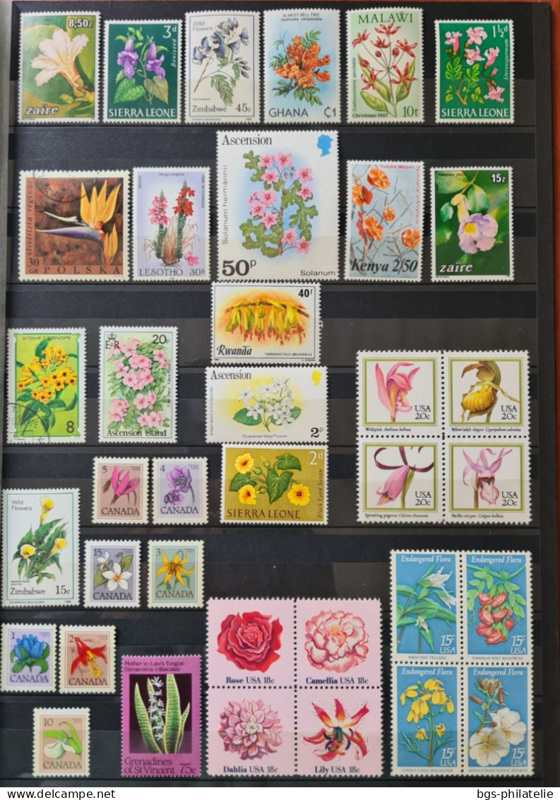 Collection de timbres sur le thème des Fleurs.