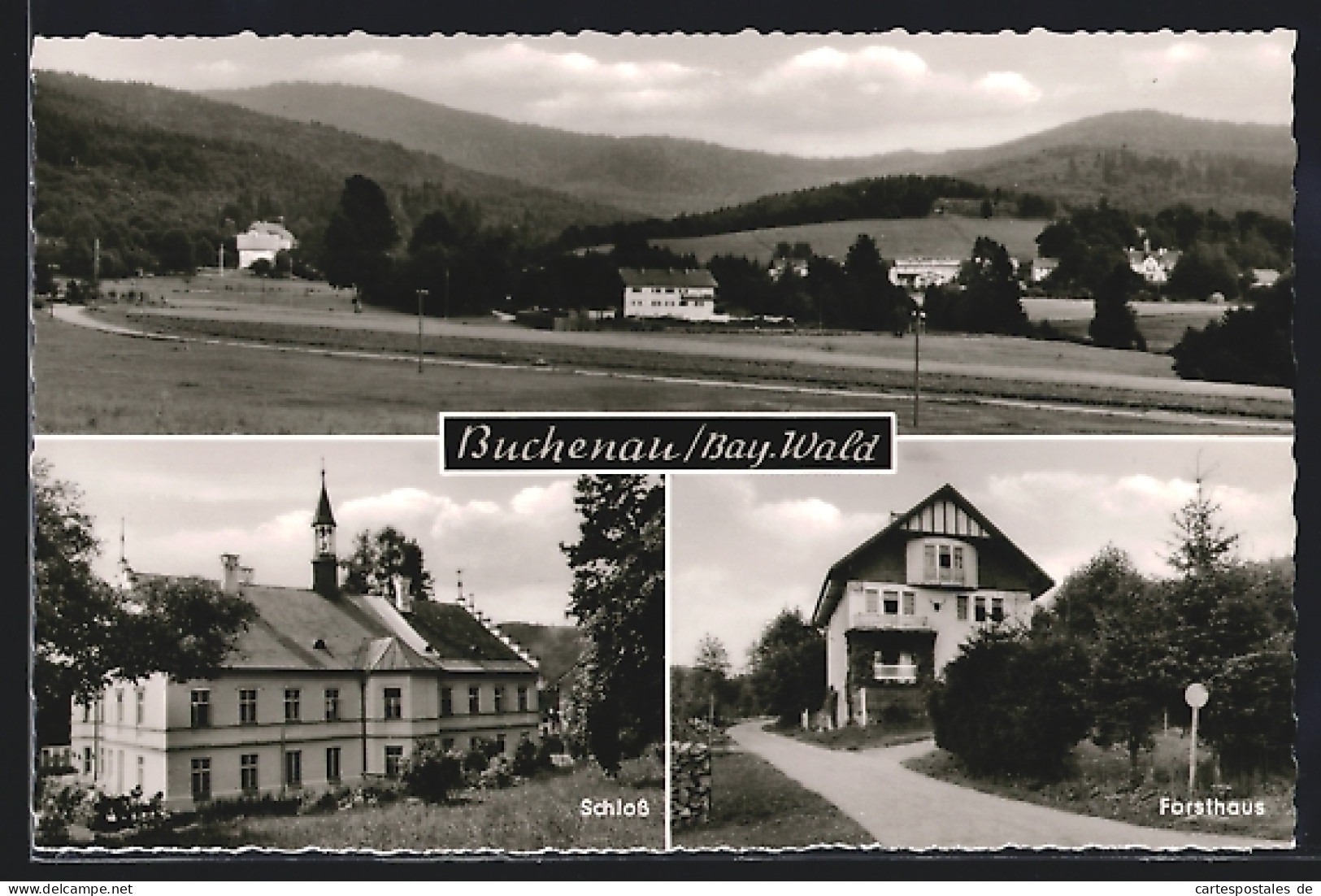 AK Buchenau /Bayr. Wald, Schloss Und Forsthaus  - Chasse