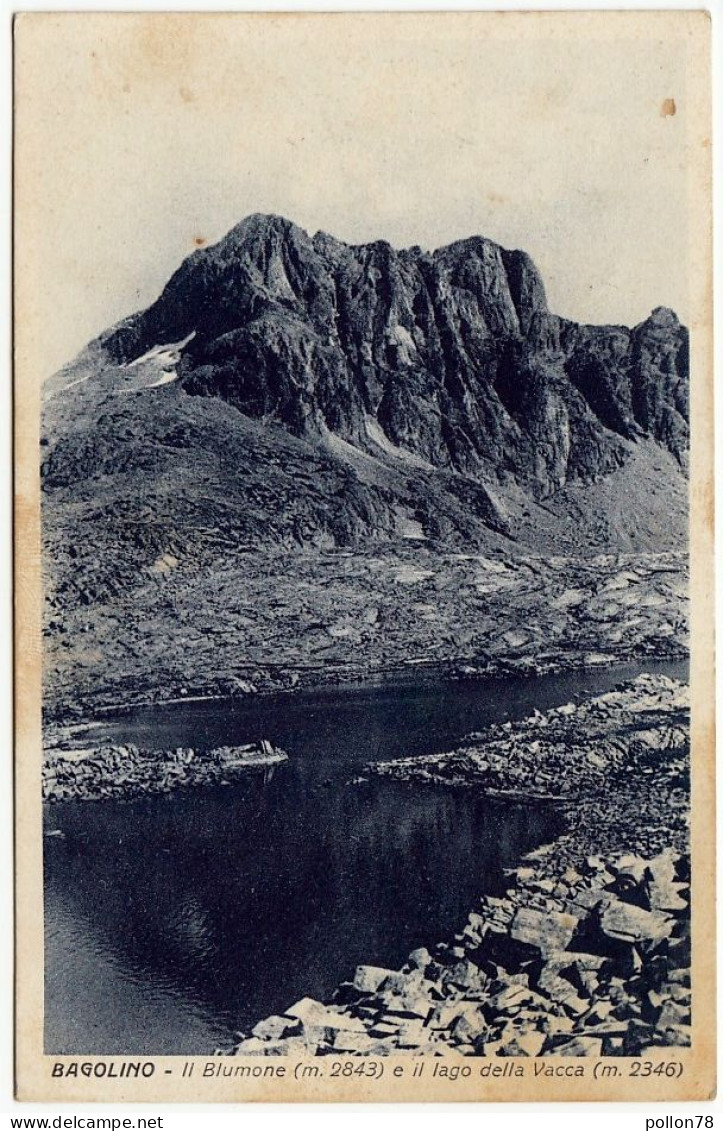 BAGOLINO - IL BLUMONE E IL LAGO DELLA VACCA - BRESCIA - 1930 - Vedi Retro - Formato Piccolo - Brescia