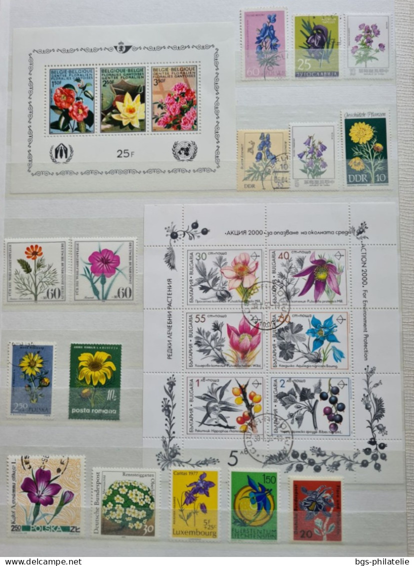 Collection De Timbres Sur Le Thème Des Fleurs. - Collections (sans Albums)