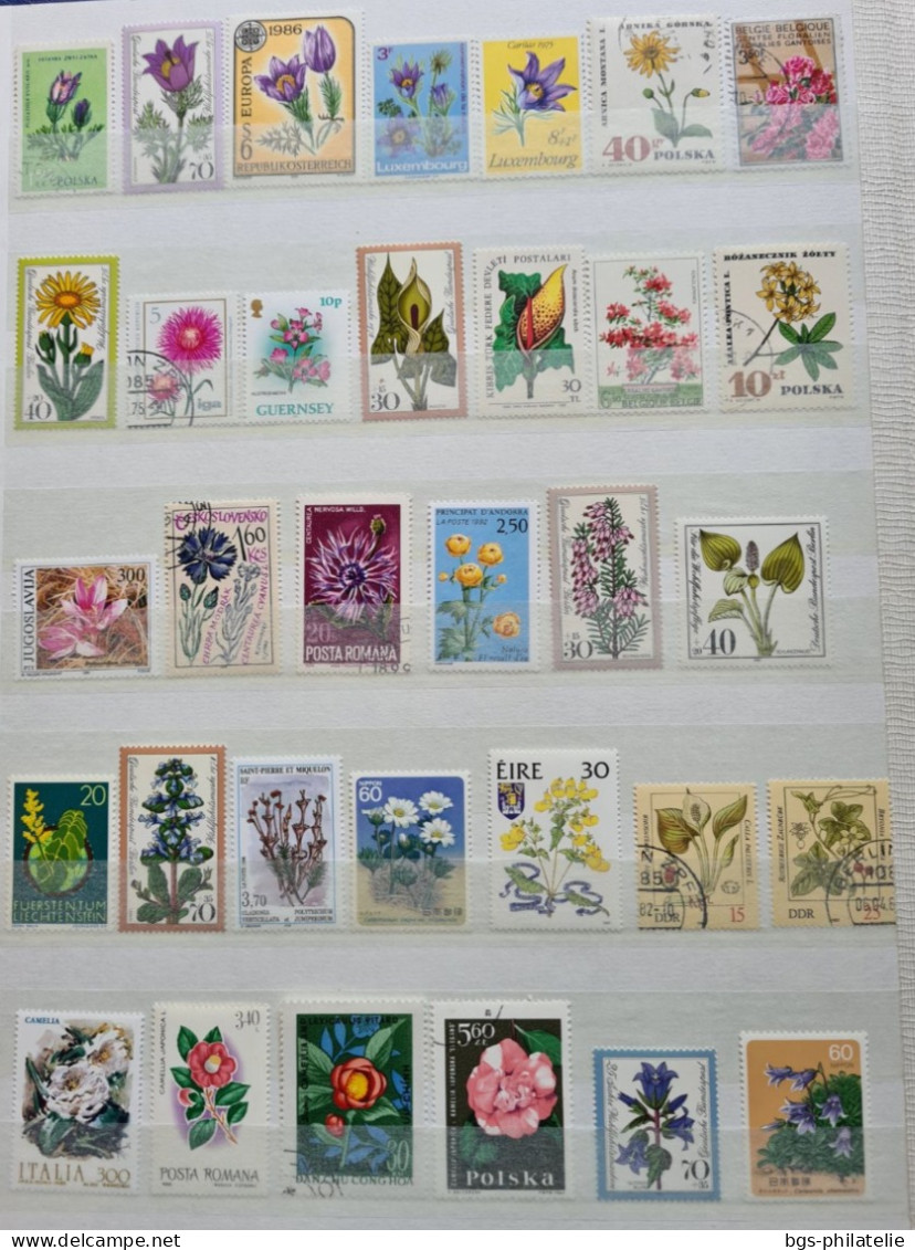 Collection De Timbres Sur Le Thème Des Fleurs. - Collections (sans Albums)