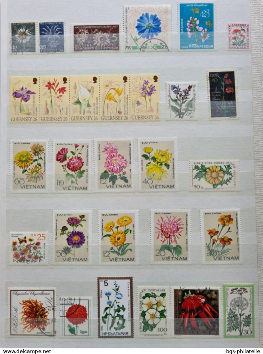 Collection de timbres sur le thème des Fleurs.