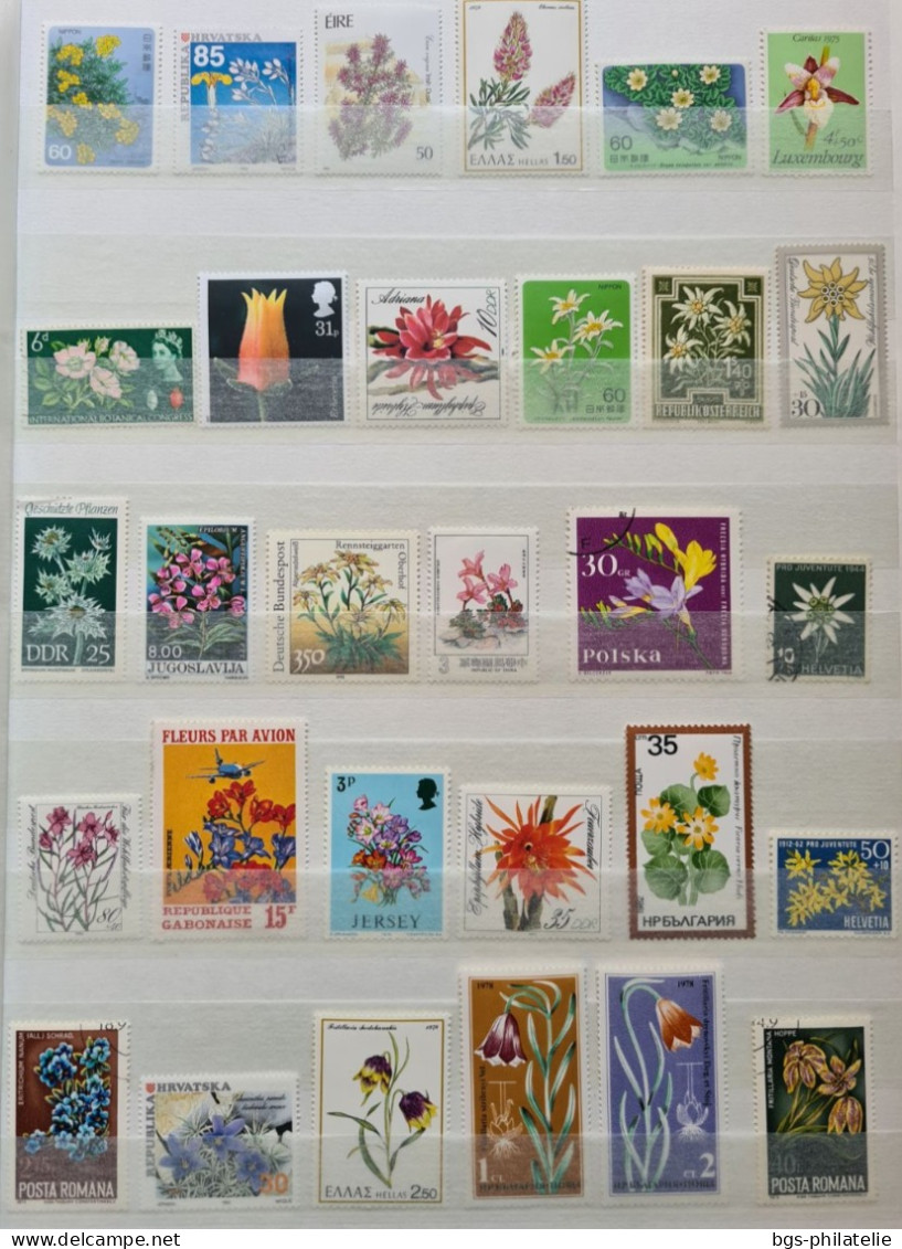 Collection de timbres sur le thème des Fleurs.