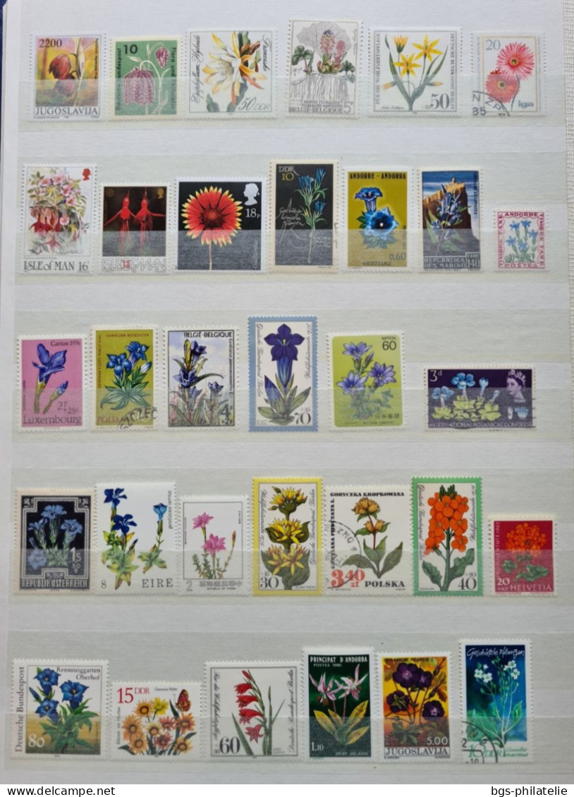 Collection de timbres sur le thème des Fleurs.