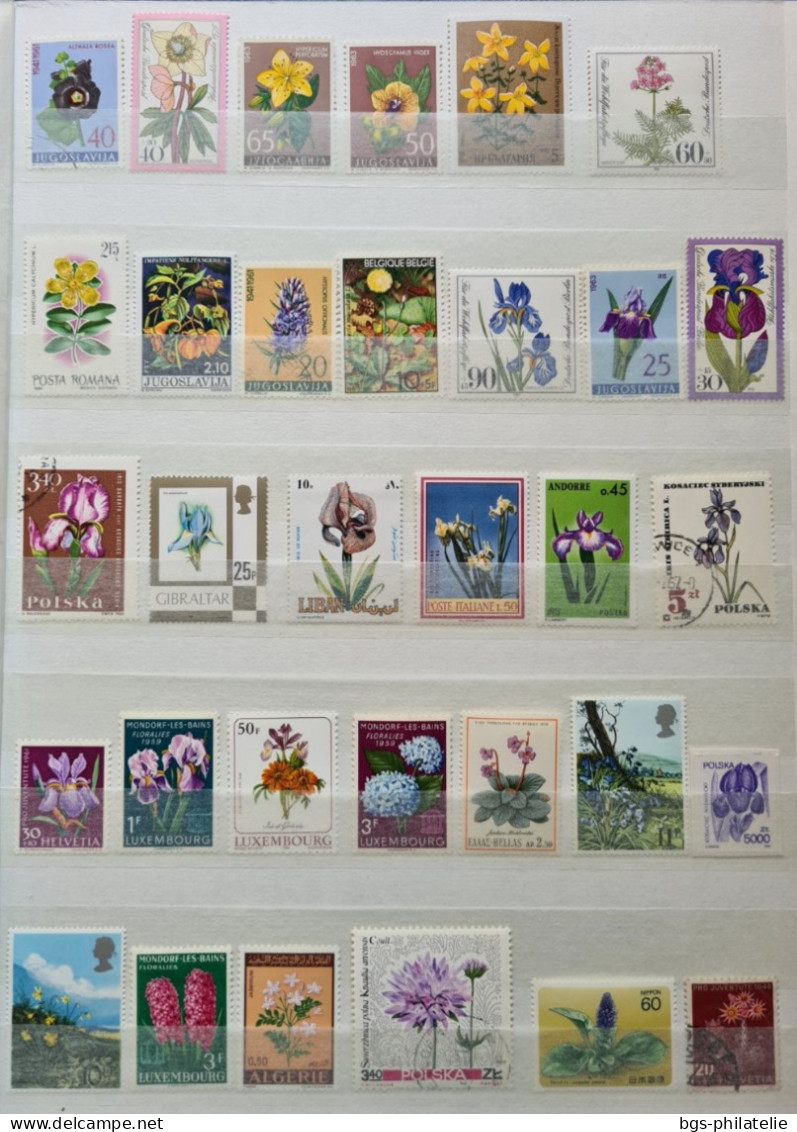 Collection de timbres sur le thème des Fleurs.