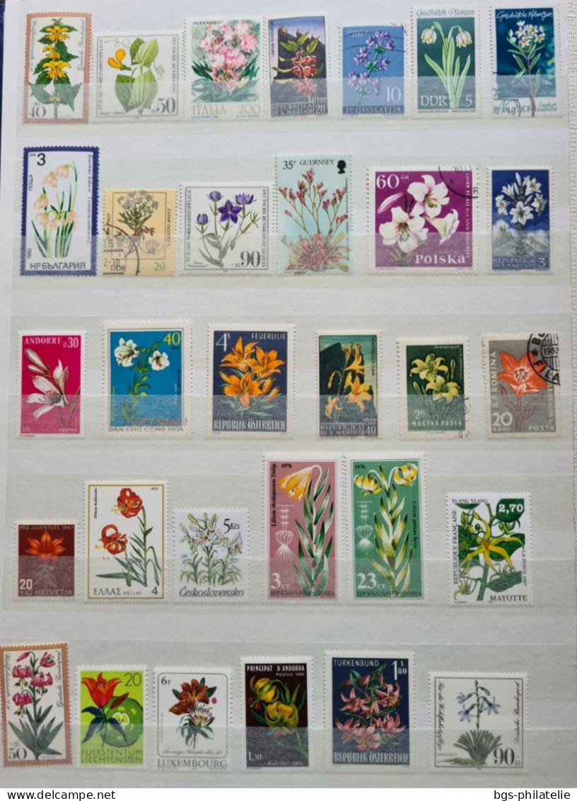 Collection de timbres sur le thème des Fleurs.