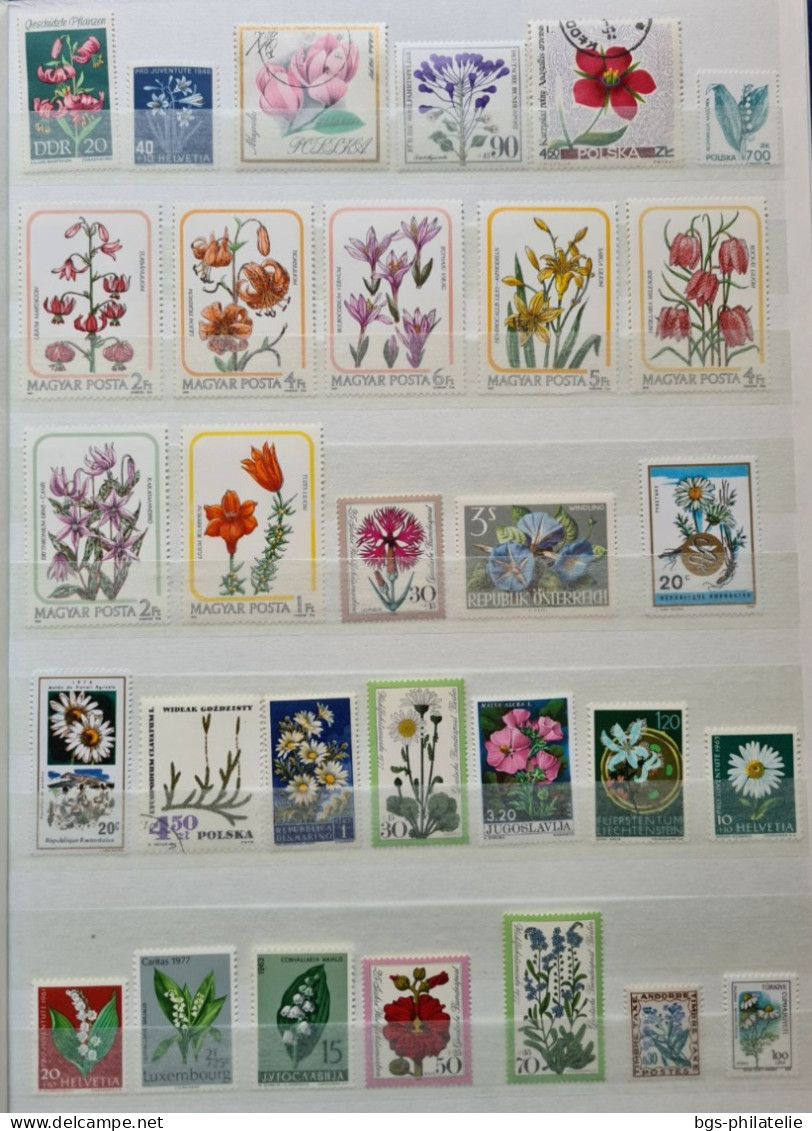 Collection de timbres sur le thème des Fleurs.