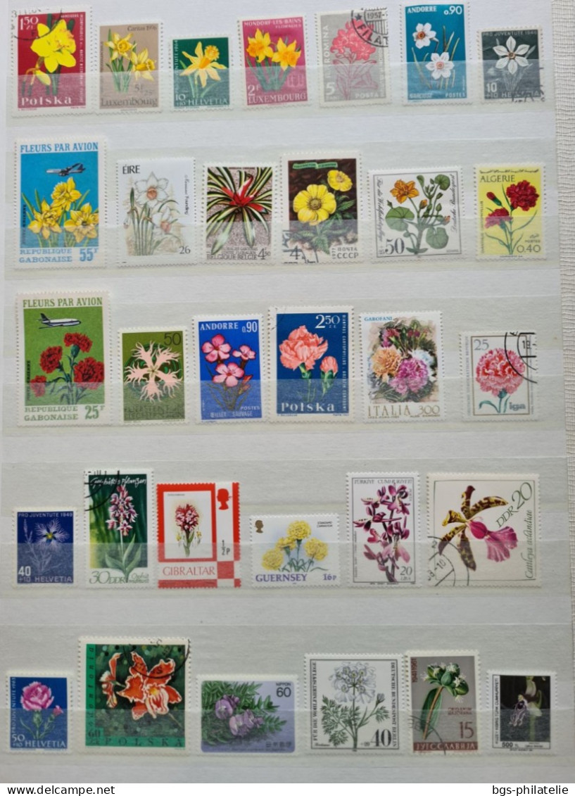 Collection de timbres sur le thème des Fleurs.