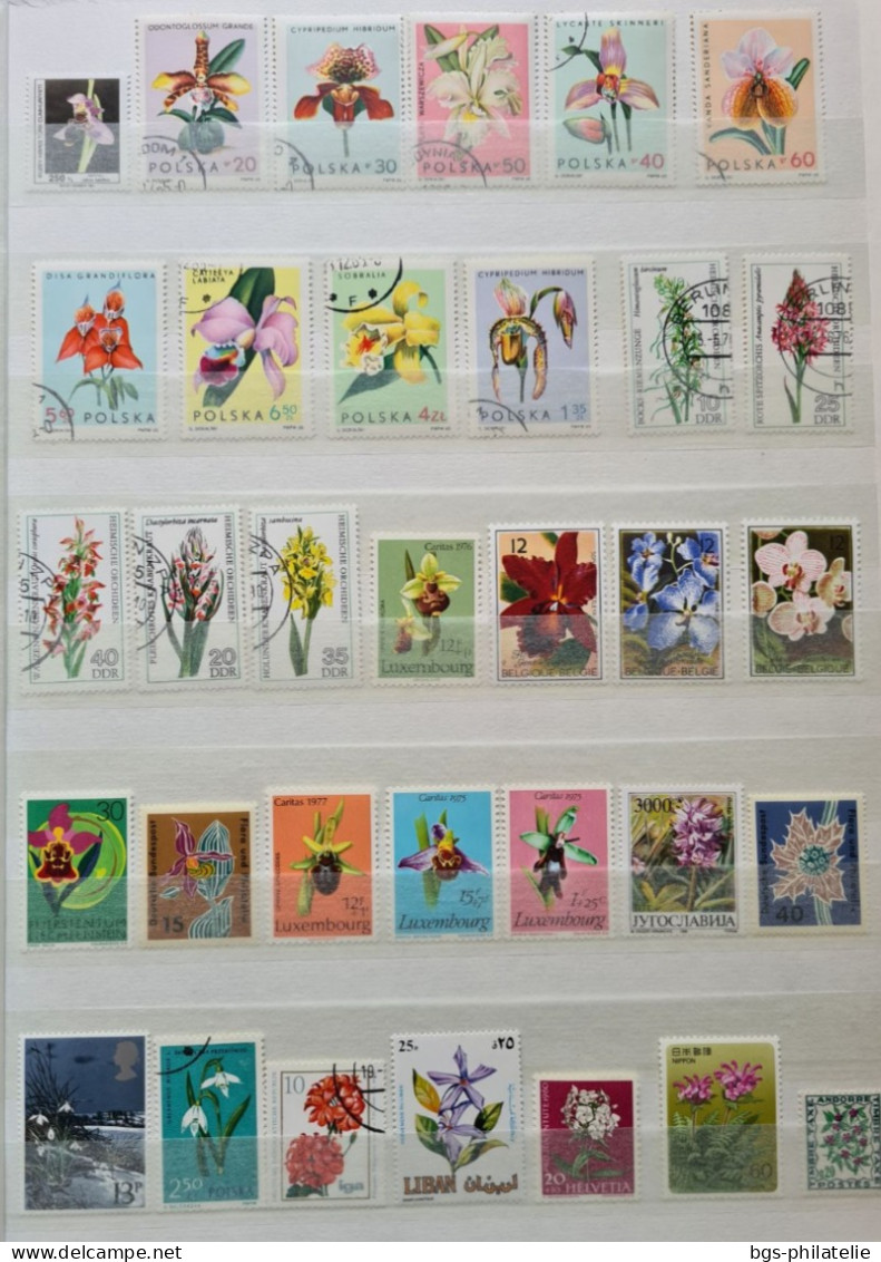 Collection de timbres sur le thème des Fleurs.