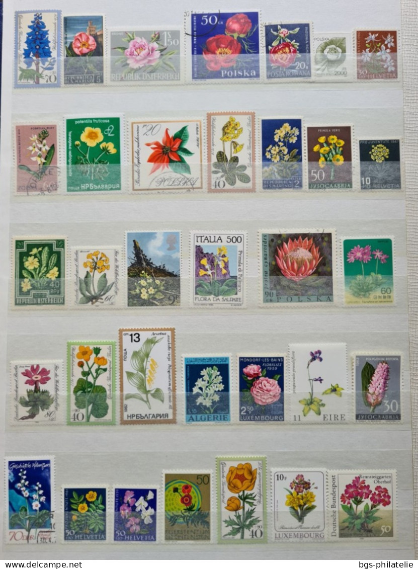 Collection de timbres sur le thème des Fleurs.