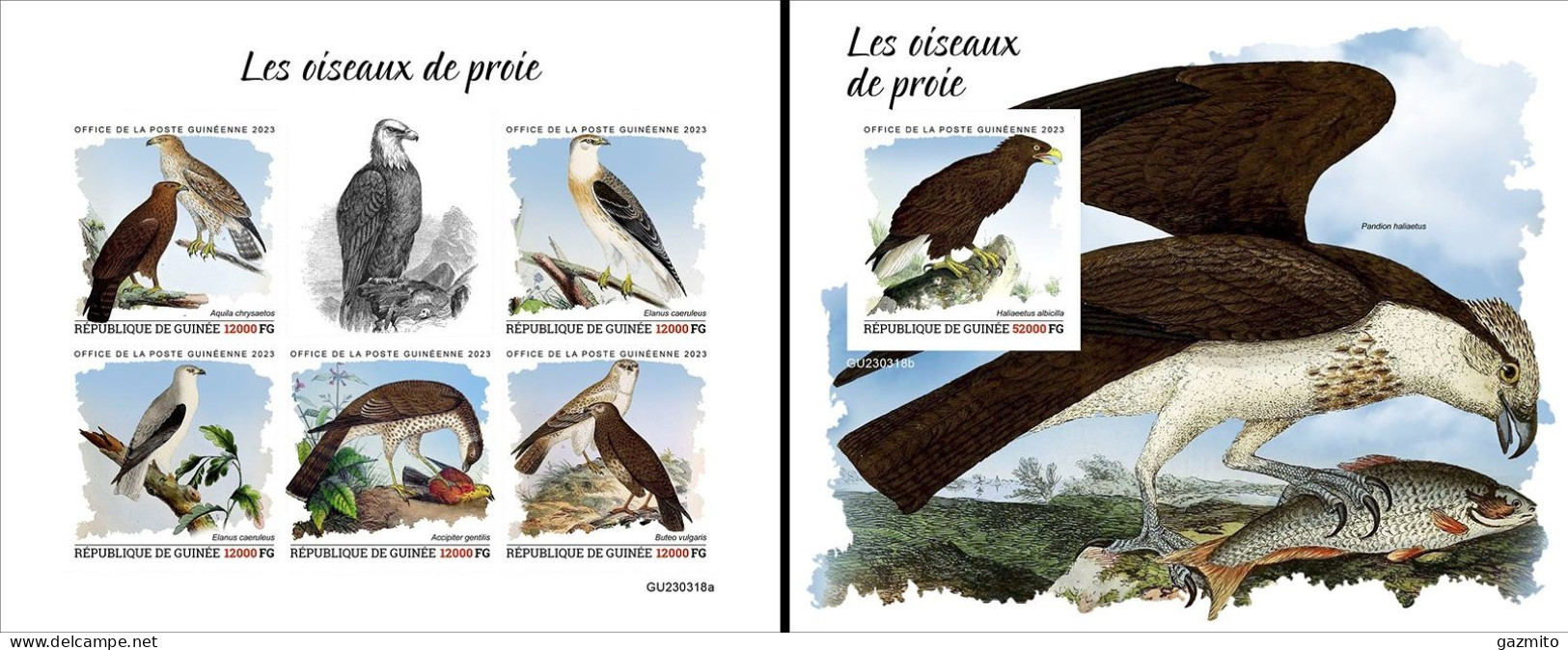 Guinea 2023, Animals, Birds Of Prey, 5val In BF +BF IMPERFORATED - República De Guinea (1958-...)