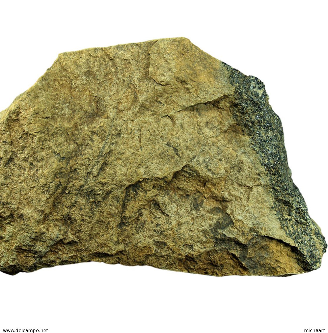 Dunite + Chromite Mineral Rock Specimen 1264g Cyprus Troodos Ophiolite 04398 - Minerals