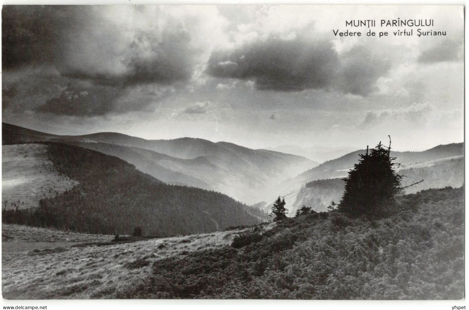 Parâng Mountains - View Of Șurianu Peak - Rumania