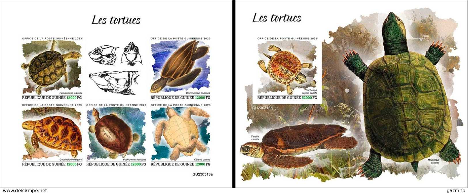 Guinea 2023, Animals, Turtle, 5val In BF +BF IMPERFORATED - Tartarughe